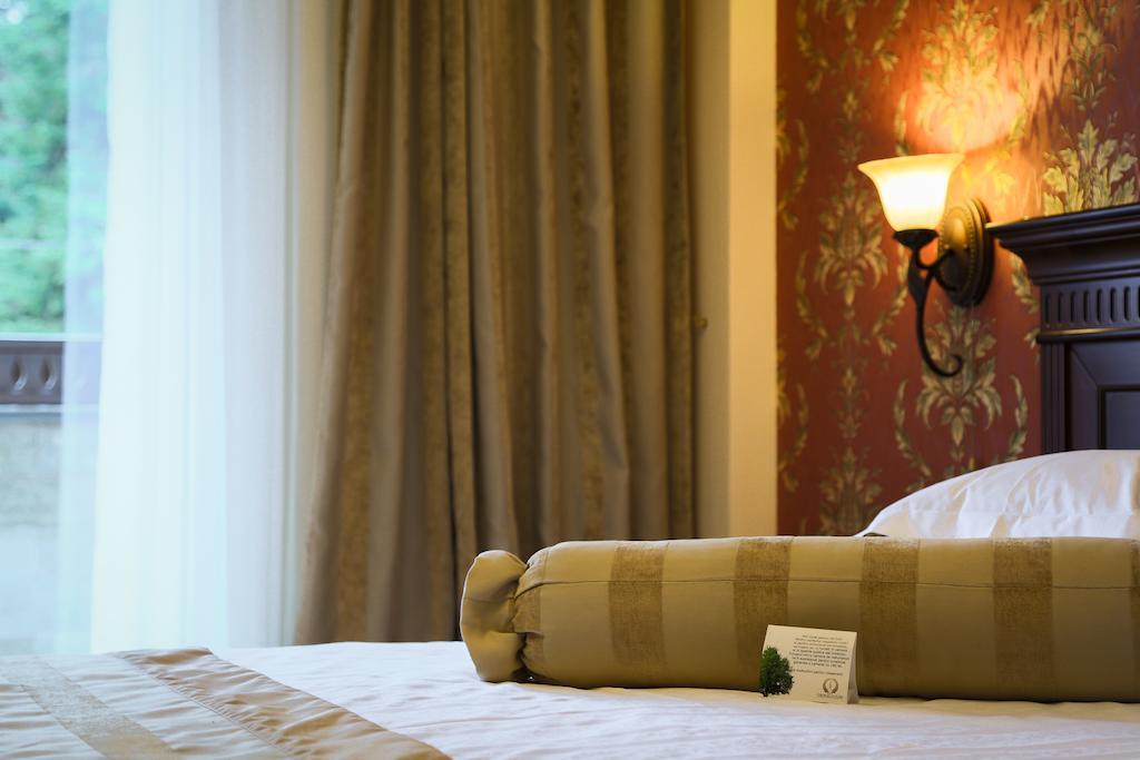 Hotel Foisorul Cu Flori Sinaia Pokój zdjęcie